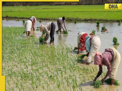 Meet man who left lucrative jobs with high package, later started company that now employs 2700 farmers, it is worth Rs…