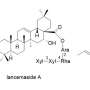 Chemical analysis of Codonopsis lanceolata roots shows significant vasodilatory effects from compound