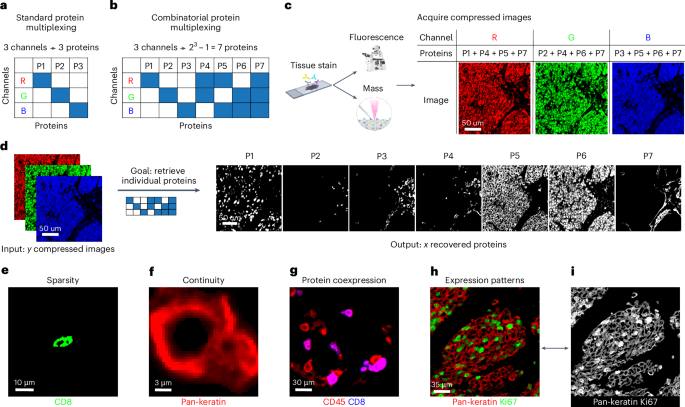 High-dimensional imaging using combinatorial channel multiplexing and deep learning