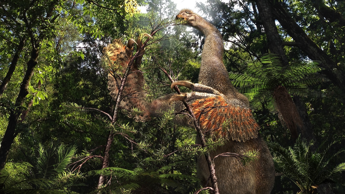 This bizarre new dinosaur has something in common with modern sloths