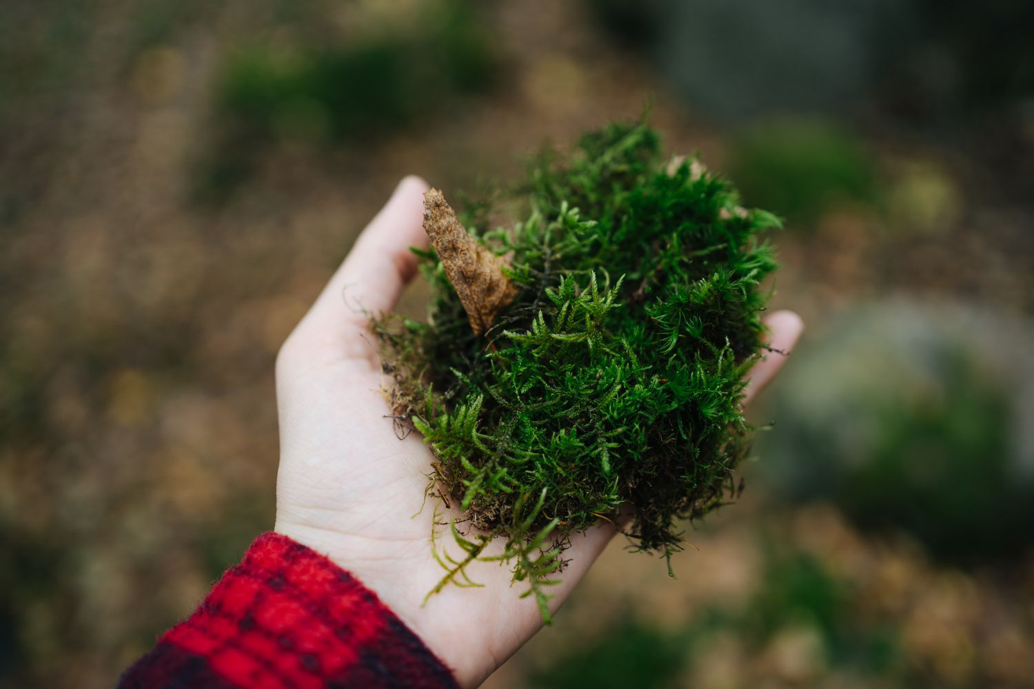 How Plants and Microorganisms Can Clean up the Mess We Make