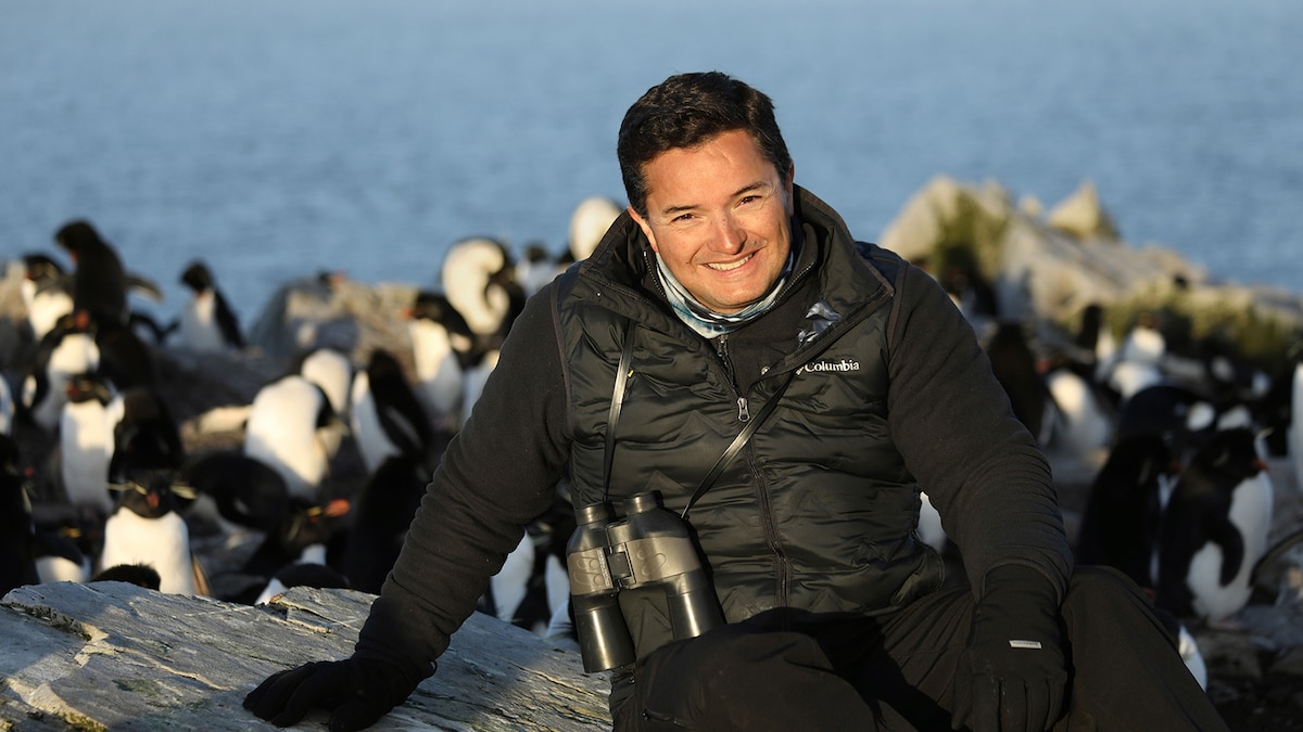Penguins are insanely resilient—and these explorers are revealing their secrets