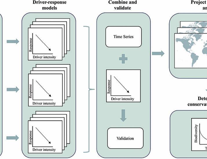 Integrating multiple evidence streams to understand insect biodiversity change | Science