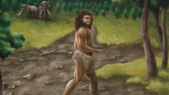 Pleistocene-Age Denisovan Fossil Found in Taiwan