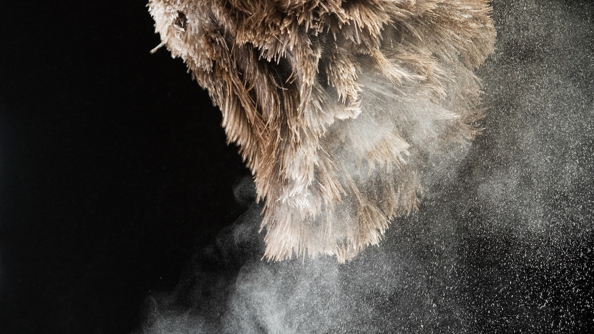 Dust isn’t just dirt—it’s full of ‘forever chemicals’ that can harm your health