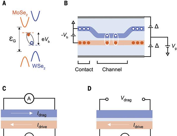 Perfect Coulomb drag in a dipolar excitonic insulator | Science