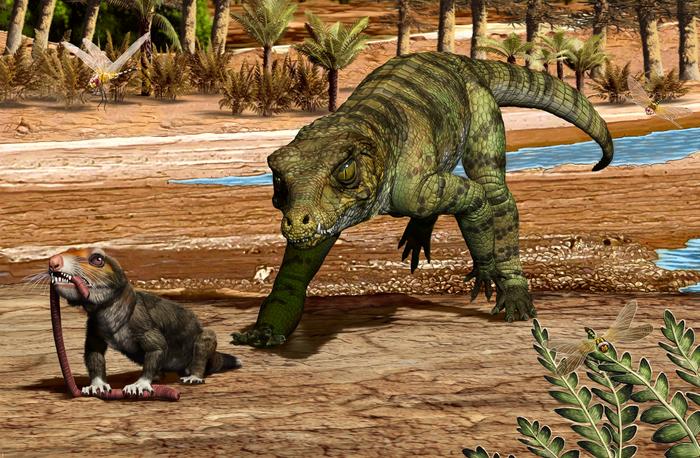 How Crocodiles Have Survived Over 230 Million Years and Two Mass Extinction Events
