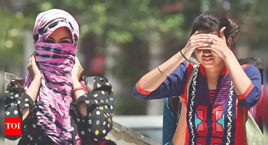 Heatwaves set to return in parts of north and central India, warns IMD