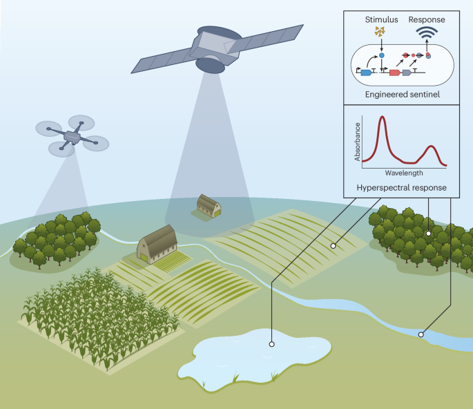 Environmental monitoring from the air with hyperspectral reporters