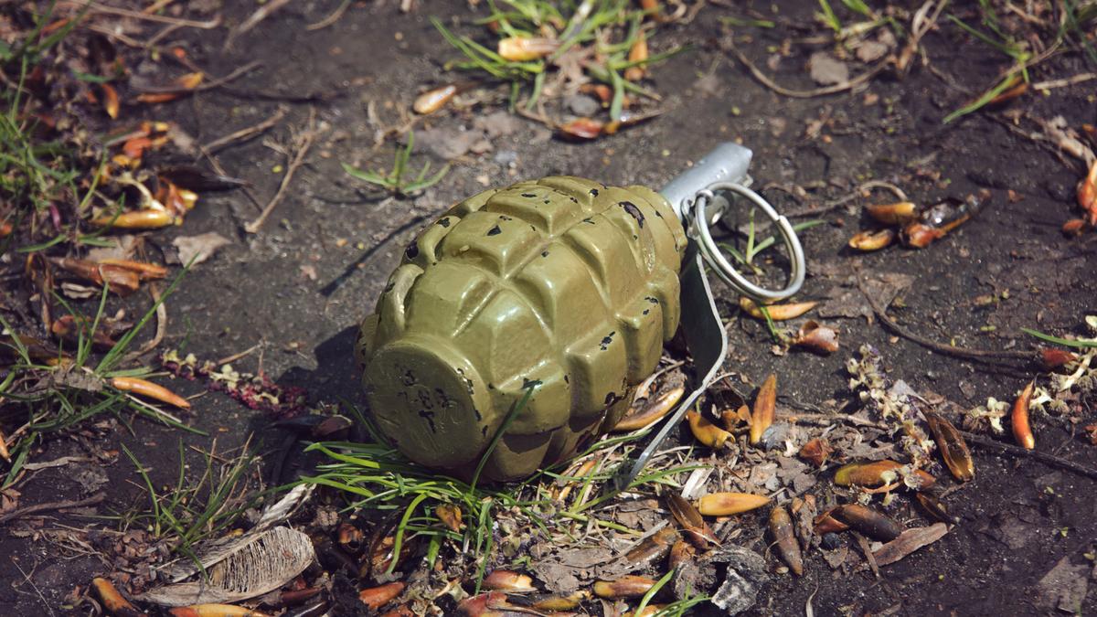 Possible terror attack thwarted with one arrest, hand grenade seized: Punjab Police