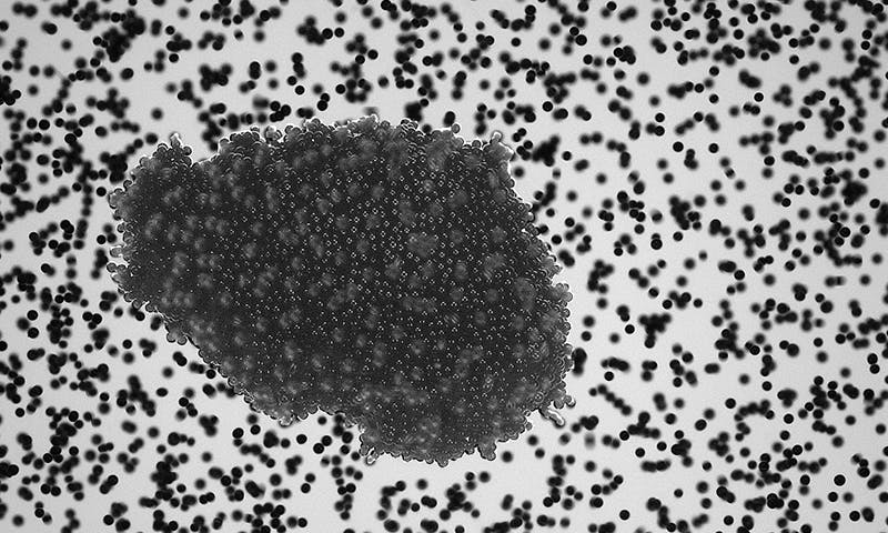How Pebbles Form Planets