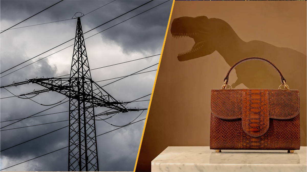 Science news this week: International blackouts and ‘T. rex skin’ handbags