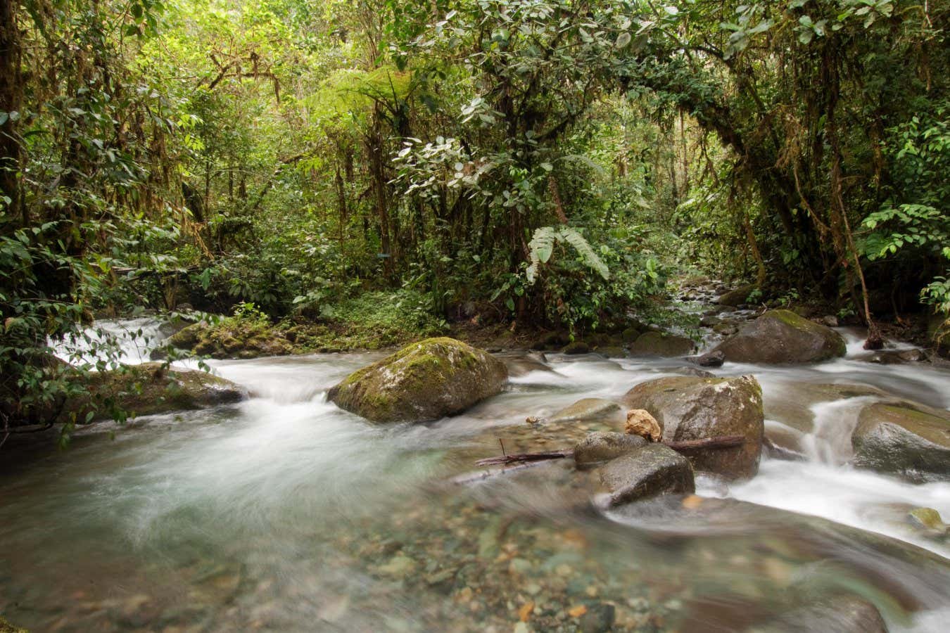 Robert Macfarlane asks if a river is alive in his provocative new book