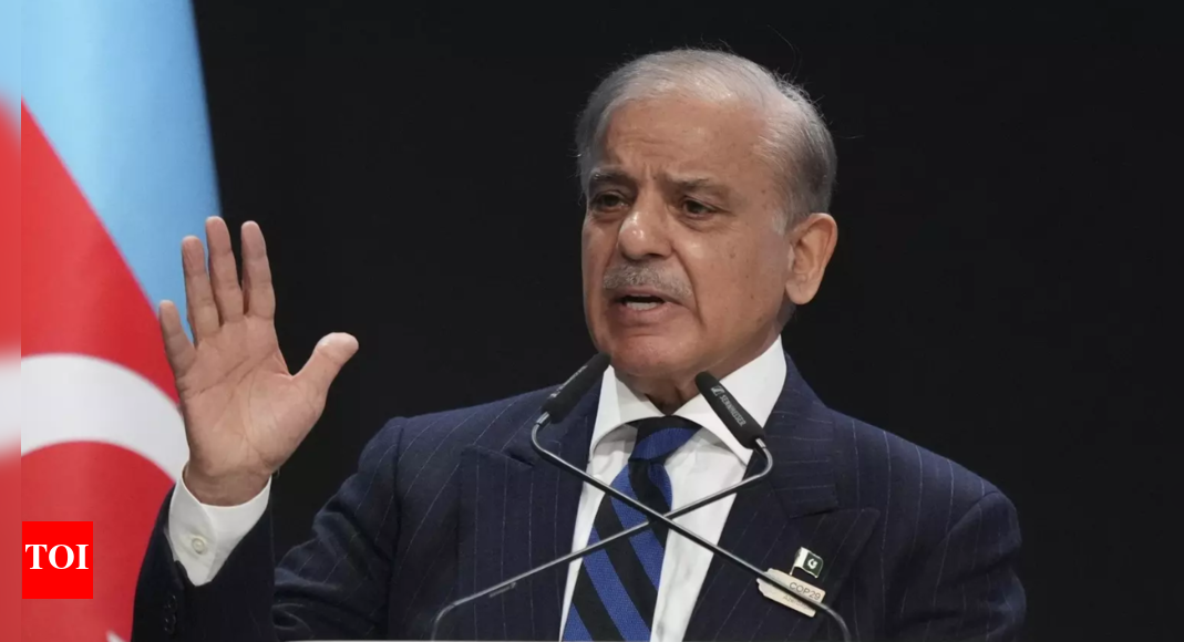 Pakistan PM Shahbaz Sharif claims shooting 5 Indian jets, but provides no proof