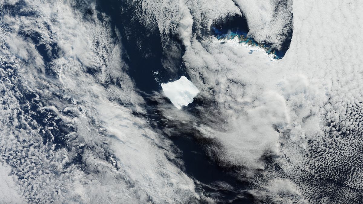 See the world’s largest iceberg stranded in the South Atlantic (satellite photo)