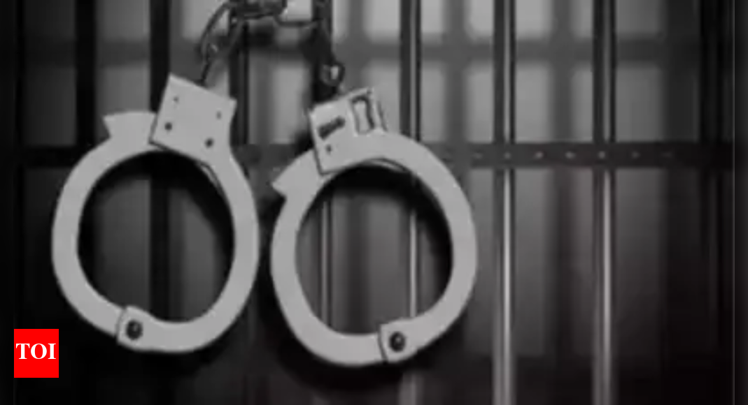 6 member theft gang arrested in Patiala with stolen vehicles and mobiles recovered