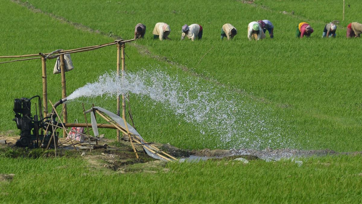 Karnataka High Court declares unconstitutional policy on power tariff subsidy for irrigation pump sets as it denies benefit to farmers’ societies