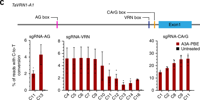 Author Correction: Efficient C-to-T base editing in plants using a fusion of nCas9 and human APOBEC3A