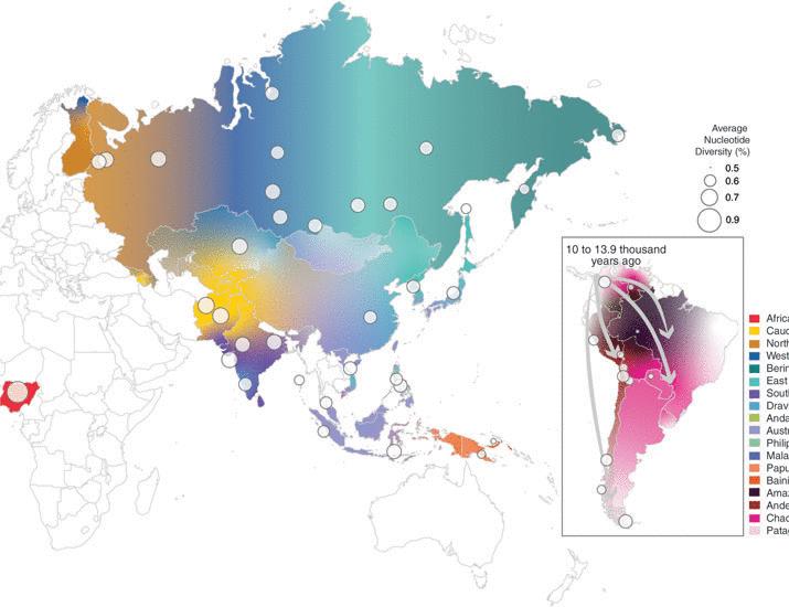 From North Asia to South America: Tracing the longest human migration through genomic sequencing | Science