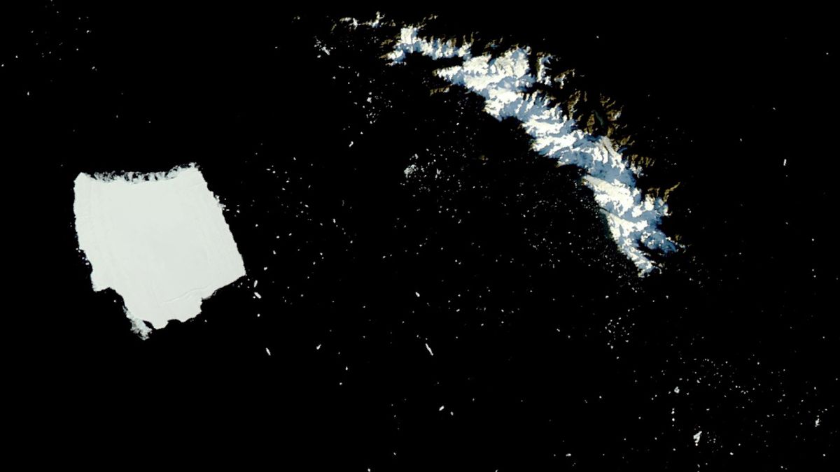 World’s largest iceberg, A23a, is disintegrating into thousands of pieces alongside penguin refuge — Earth from space