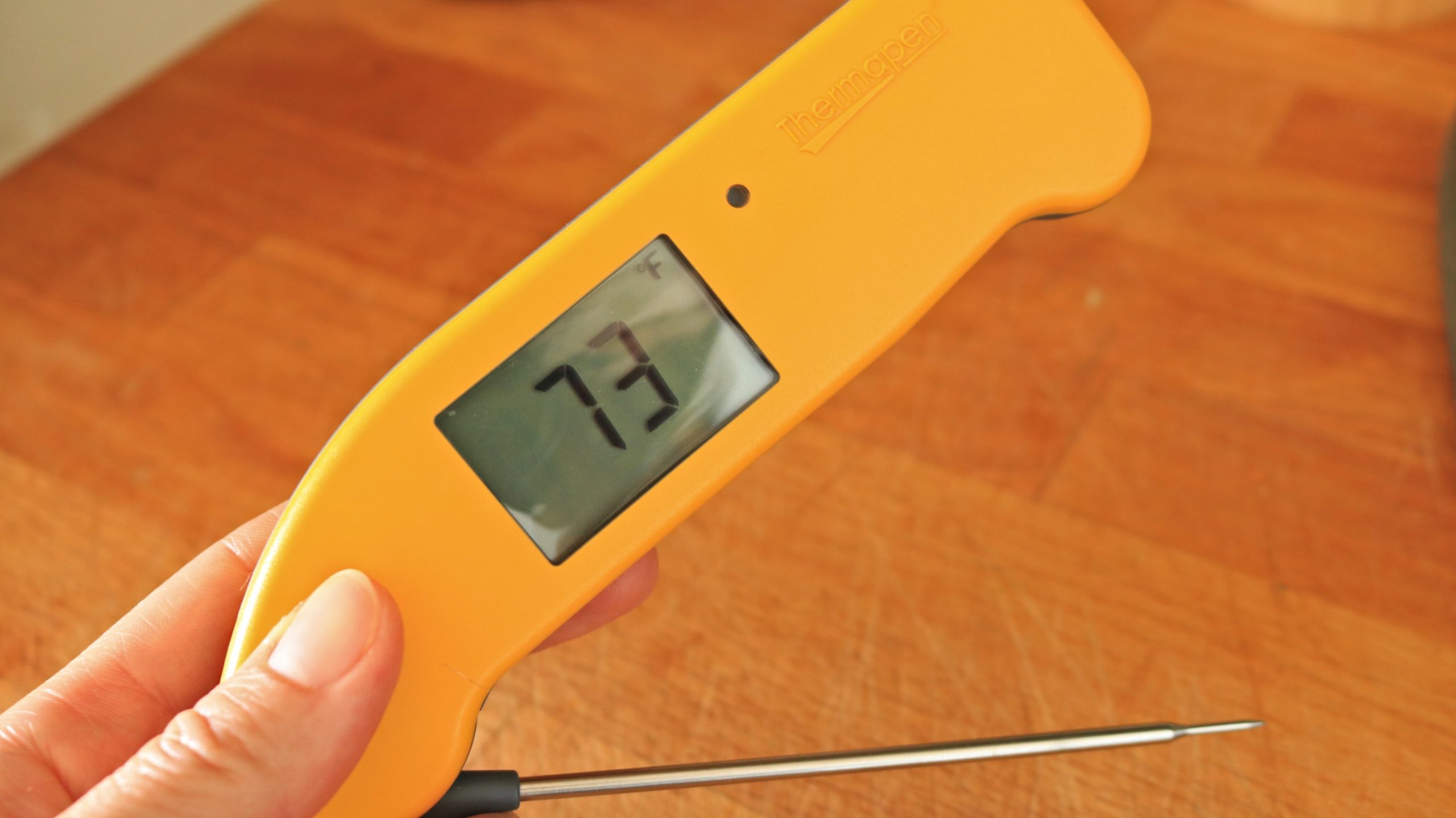 I Love This Meat Thermometer so Much I Bought One for My Dad, and It’s on Sale