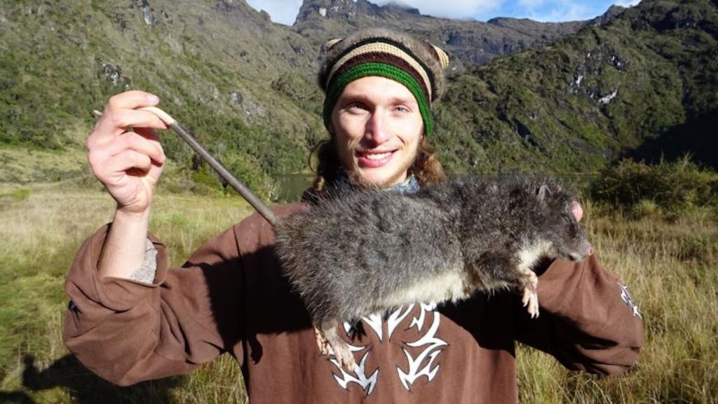 Elusive woolly rat photographed for the first time
