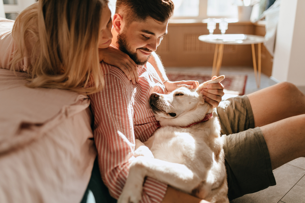 Choosing Puppies Over Babies: How Dog Ownership Could Contribute to Declining Birth Rates