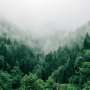 Frequent large-scale wildfires are turning forests from carbon sinks into super‑emitters, warn scientists