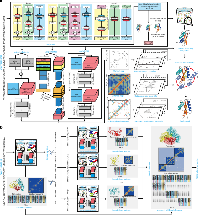 Deep-learning-based single-domain and multidomain protein structure prediction with D-I-TASSER