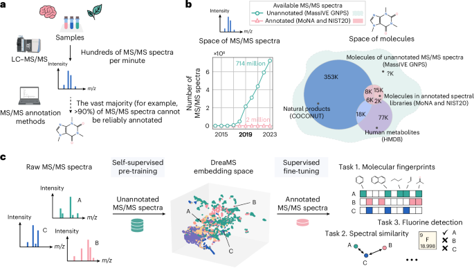 Self-supervised learning of molecular representations from millions of tandem mass spectra using DreaMS