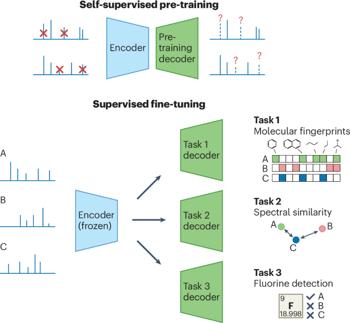 Self-supervised learning from small-molecule mass spectrometry data