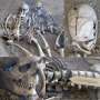 The Roman massacre that never happened according to a new study of an iconic archaeological site