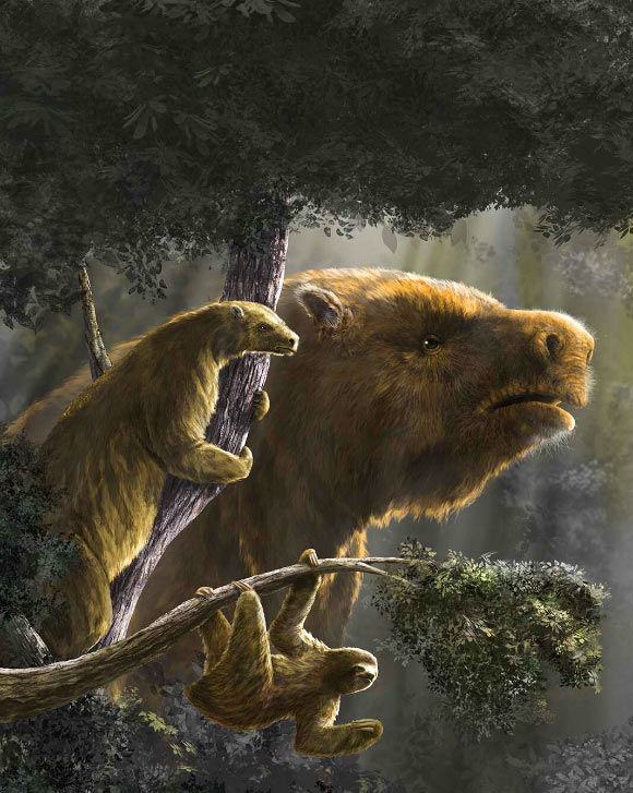 New Research Sheds Light on Emergence and Demise of Giant Sloths