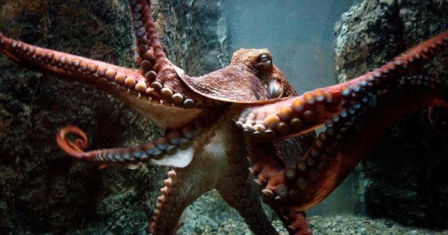10 Things That Will Make You Rethink Everything Normal