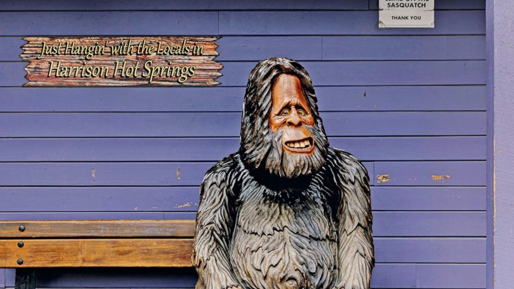 Is Sasquatch real? Many residents of Harrison Hot Springs would say yes
