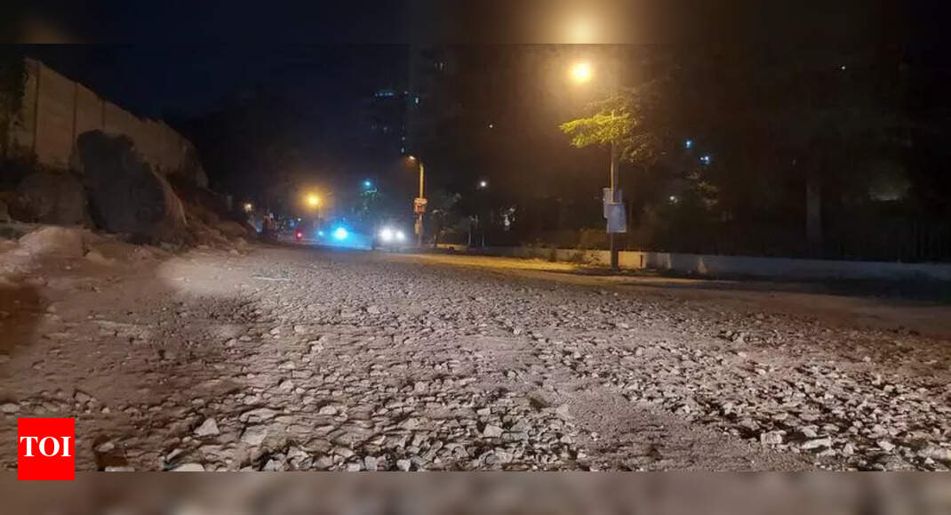 After screen of dust, Bengaluru’s Holiday Village Road residents now face slushy road conditions, to protest today