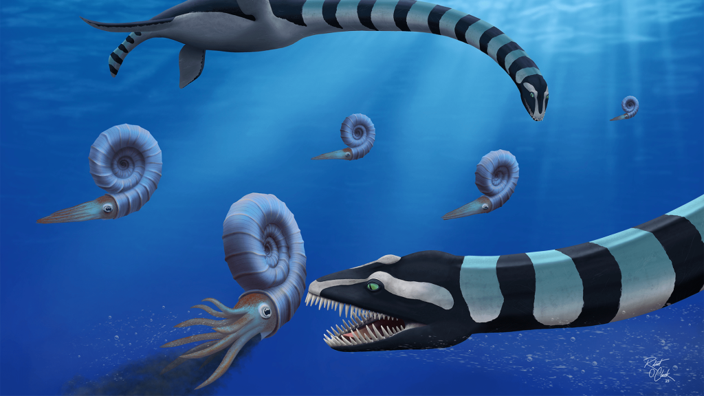 ‘Very odd’ 40-foot-long marine reptile stalked prehistoric Canada