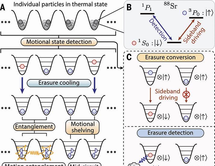 Erasure cooling, control, and hyperentanglement of motion in optical tweezers | Science