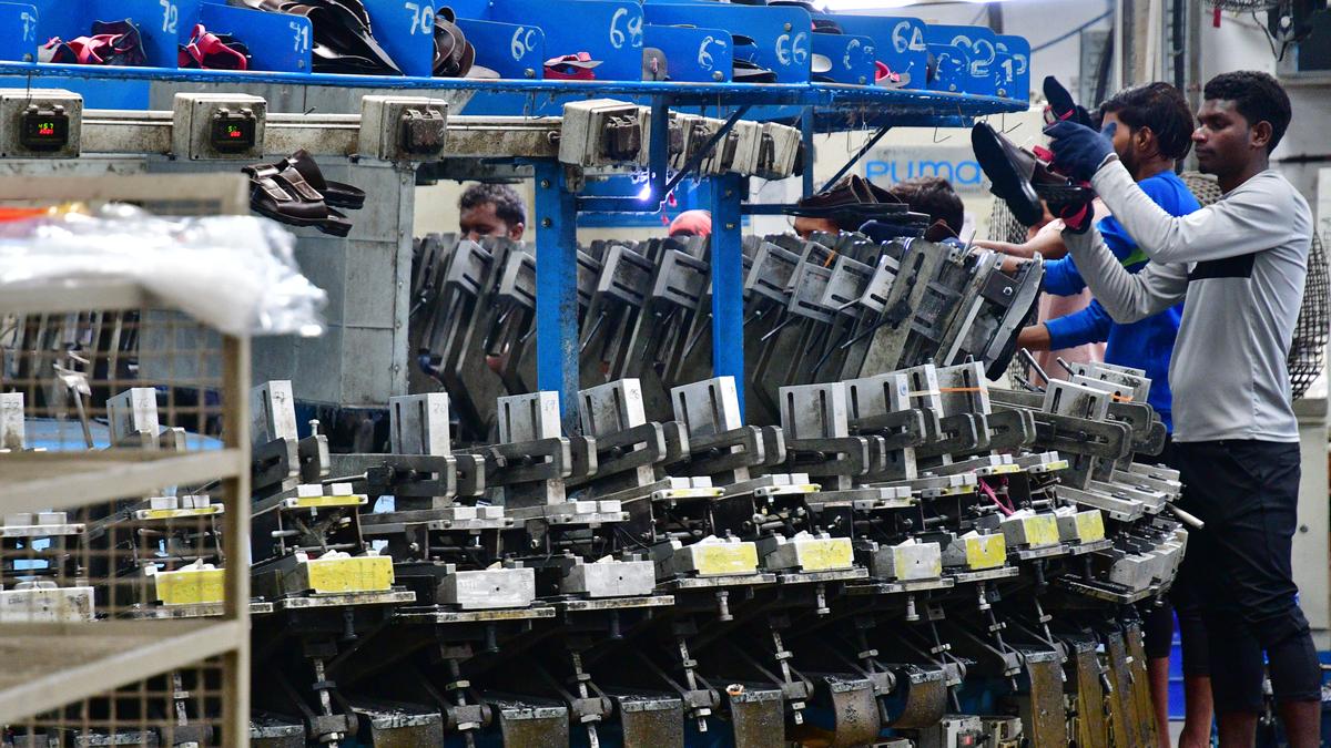 Export boost: Government restores RoDTEP scheme, allows leather exports from all ports