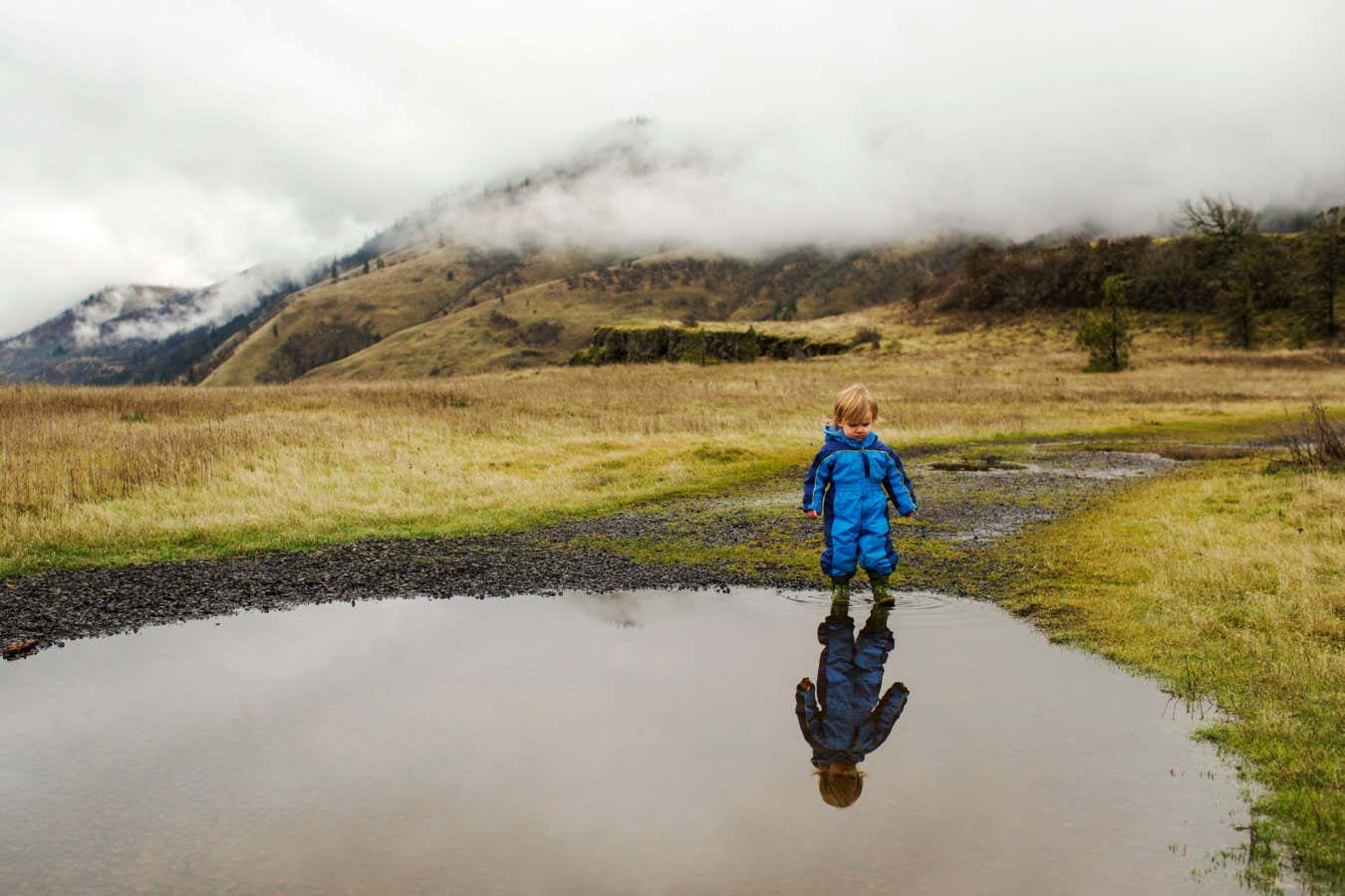 Weary parents shouldn’t miss this science-backed guide to raising kids