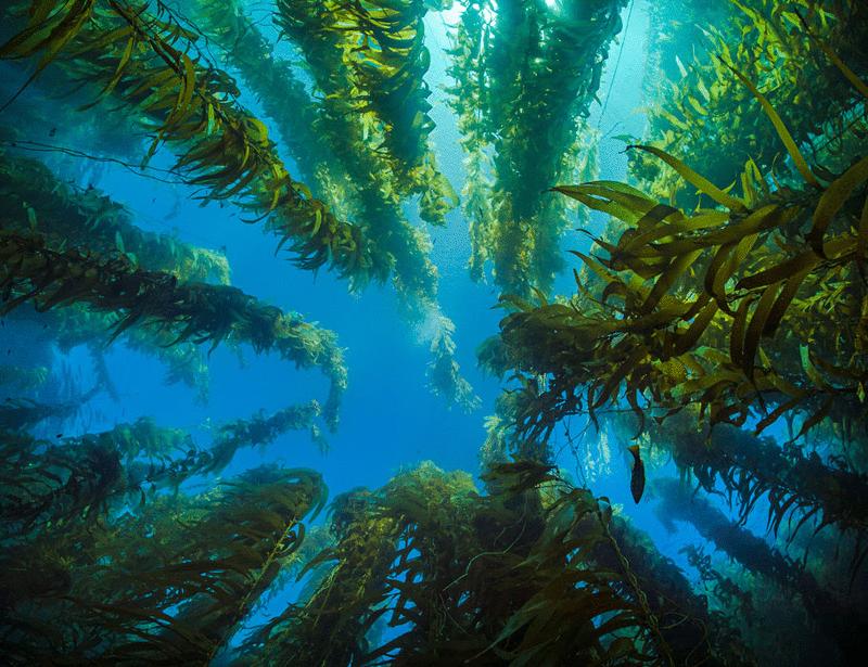 The silent signals of climate change | Science