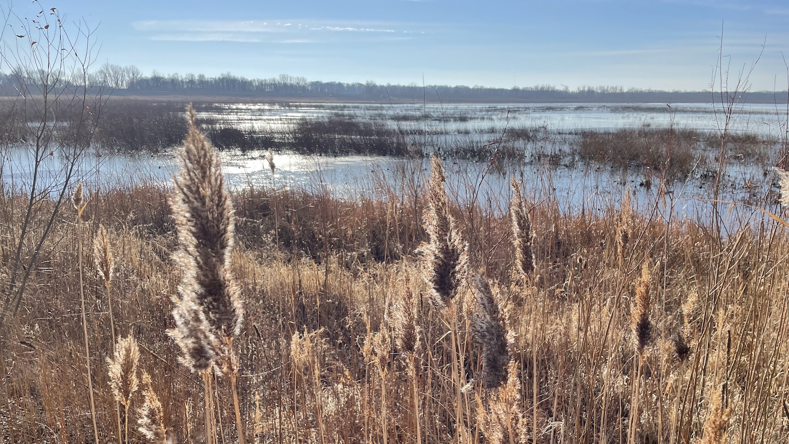 How Big Ag thwarted wetlands protections in Illinois and Iowa