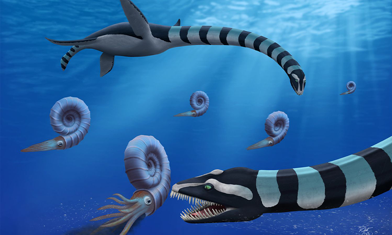 Famous Sea Monster Gets a Name