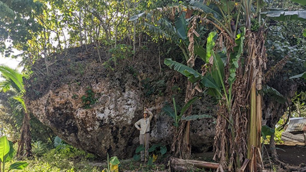 There’s a humongous boulder on a cliff in Tonga. Now we know how it got there.