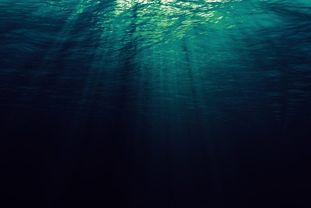 21% of the ocean is losing access to sunlight –  here’s what that means