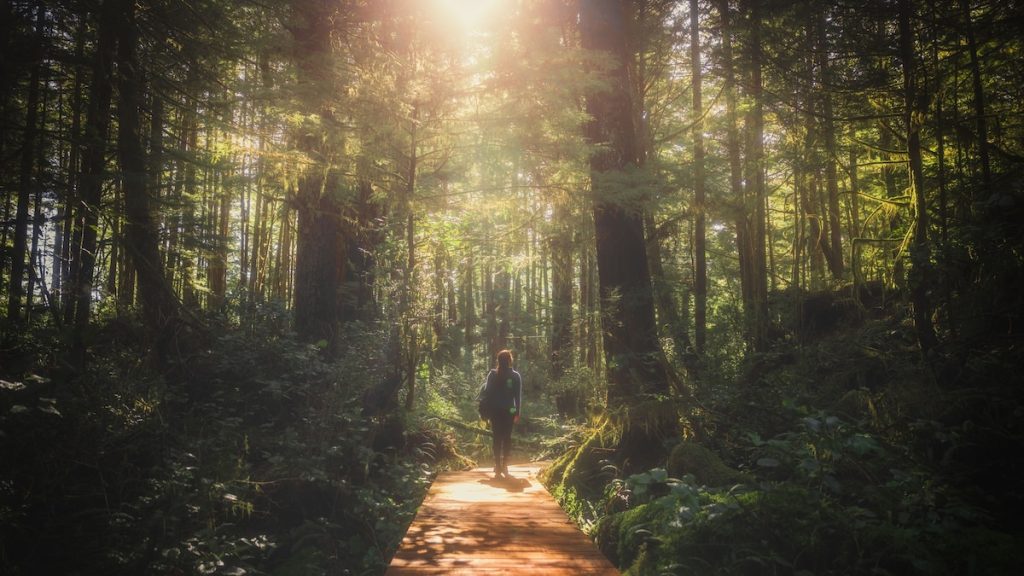 This new travel trend combines wellness with wildlife