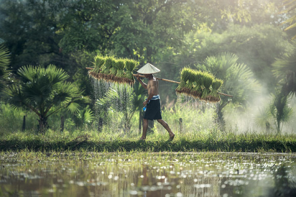 Humans are Seasonal Creatures, New Research Reveals