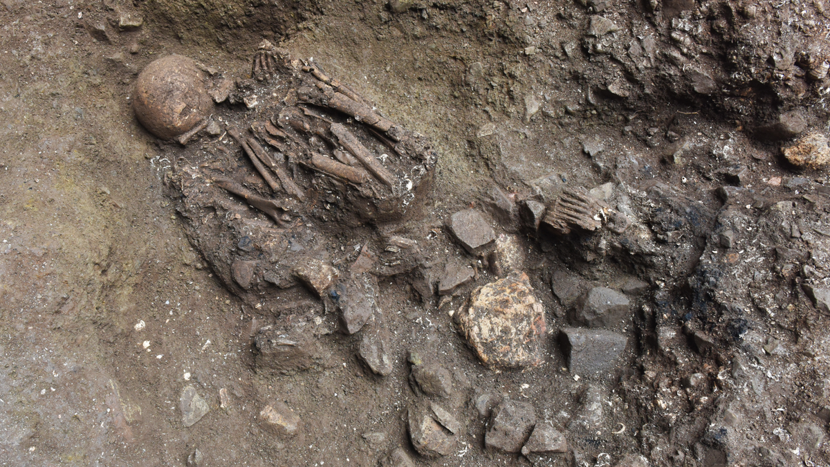 Newly discovered ‘ghost’ lineage linked to ancient mystery population in Tibet, DNA study finds
