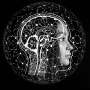 In the age of AI, human interaction key to preserving academic voice