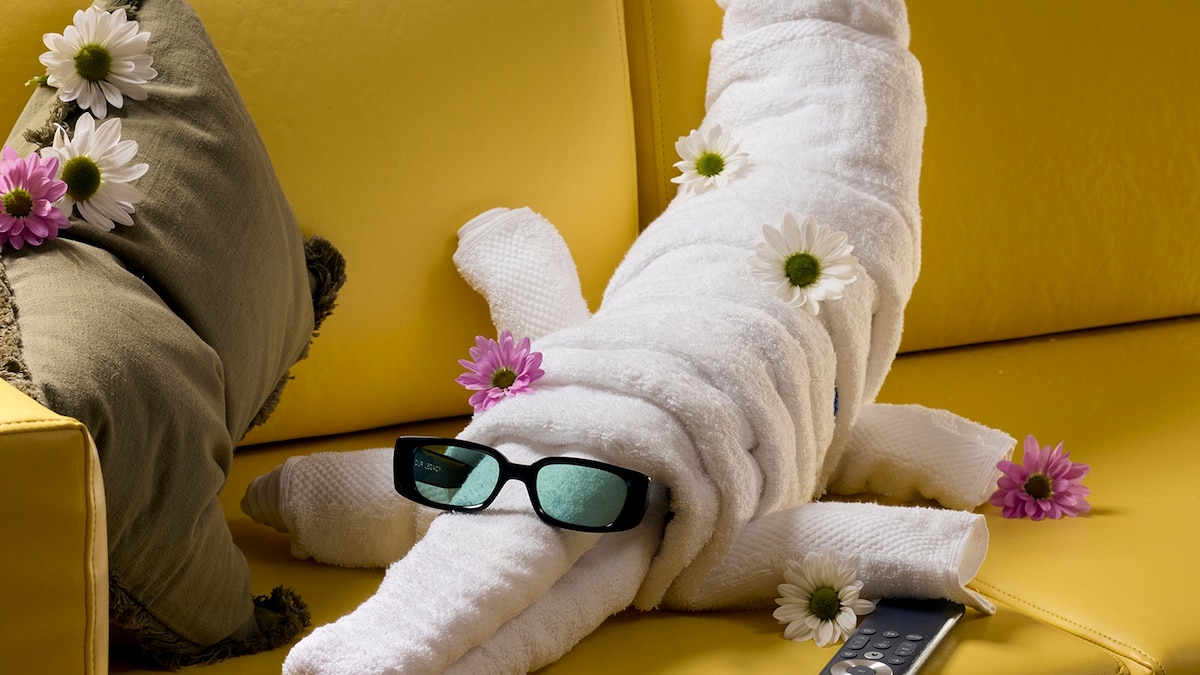 It’s not just kissing swans anymore. Towel art has risen to a whole new level.